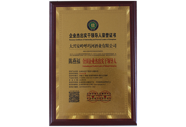 全國企業(yè)杰出實干領導人